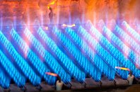 Bornesketaig gas fired boilers